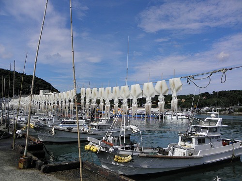 殿浦渡し場跡10