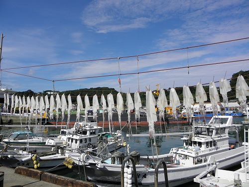 殿浦渡し場跡6