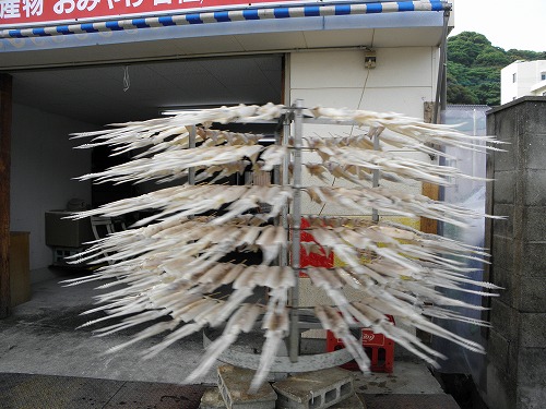 いかぐるぐる5