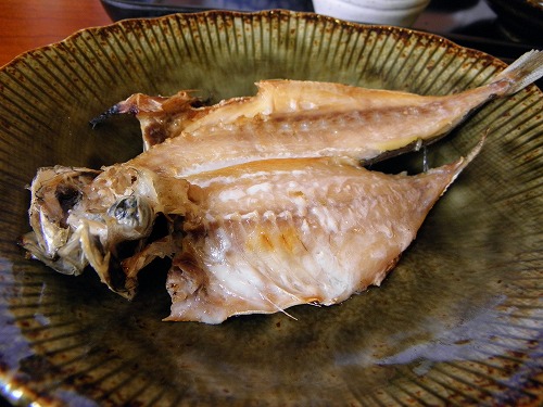 ありの家6