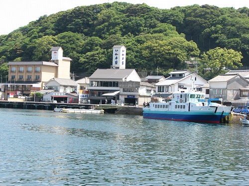 いか本家5