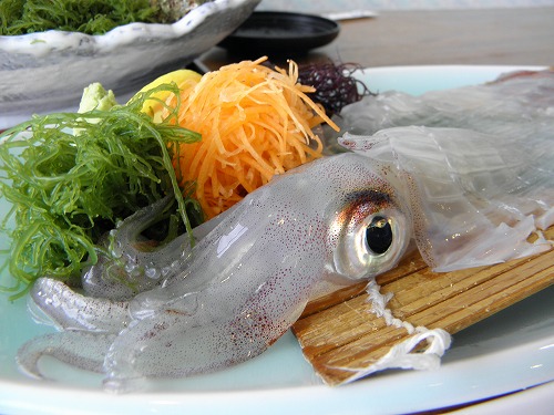 いか本家いそ浜別館9