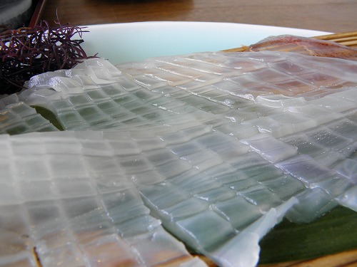いか本家いそ浜別館10