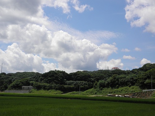 風の見える丘公園4