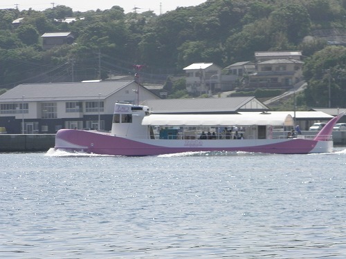 ジーラ17