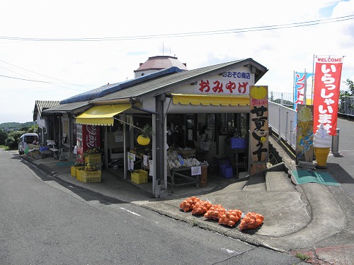 甘夏ジュース1