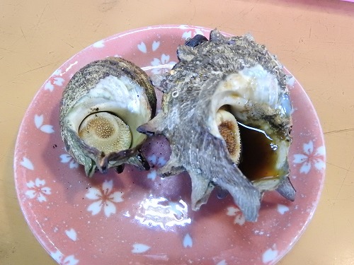 サザエのつぼ焼き7