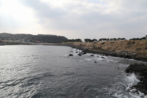 波戸岬7