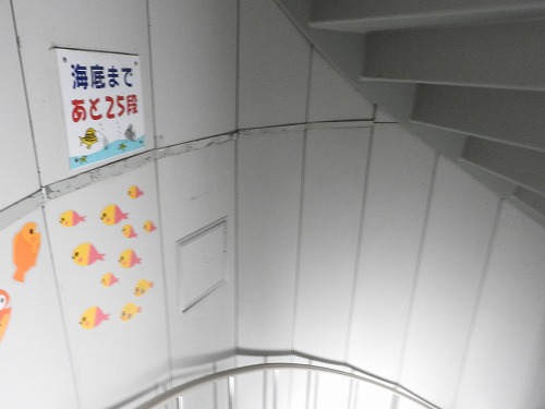 玄海海中展望塔5