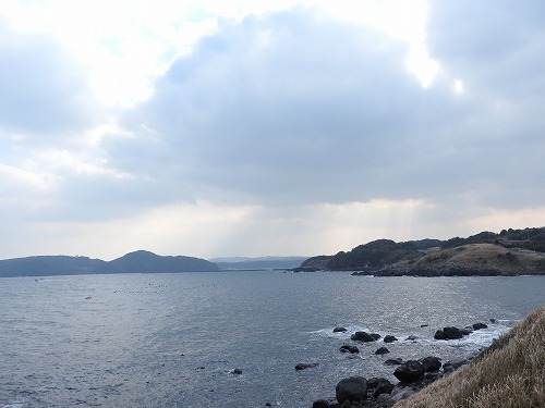 波戸岬8