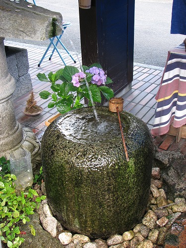 見帰りの滝20