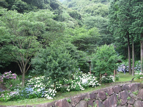 見帰りの滝10