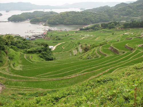 浜野浦1
