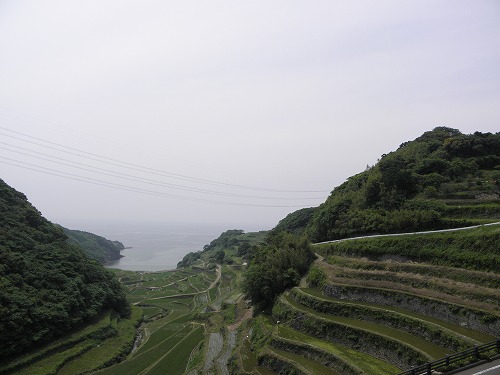 浜野浦5