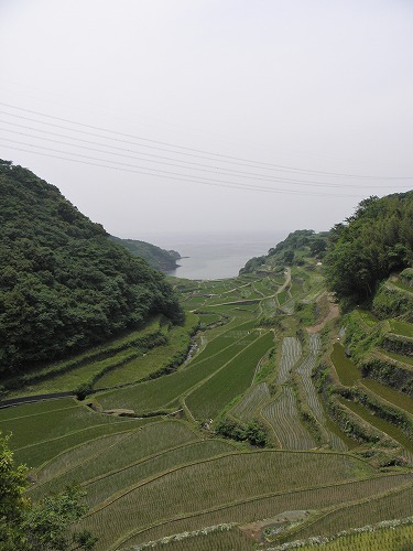 浜野浦1