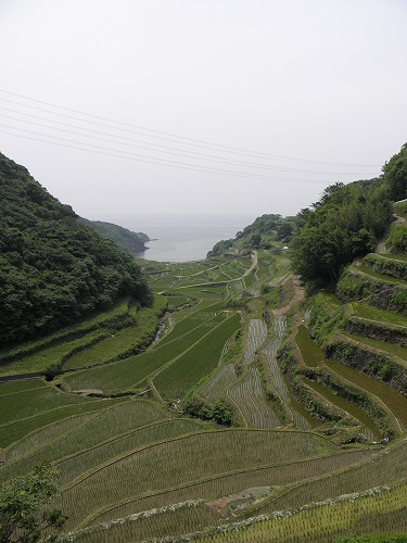 浜野浦2