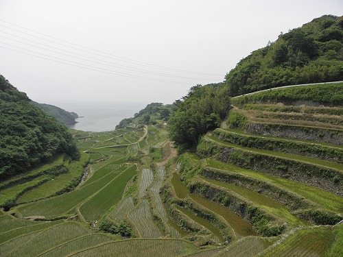 浜野浦6