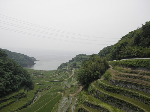 浜野浦9