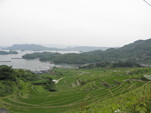浜野浦10
