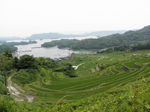 浜野浦1