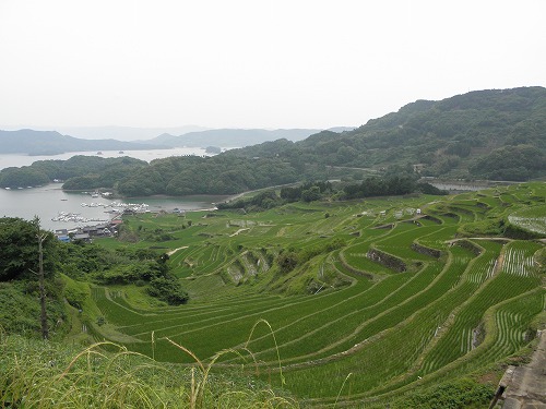 浜野浦2