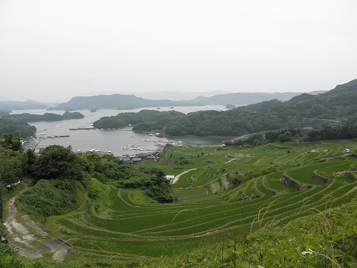 浜野浦3
