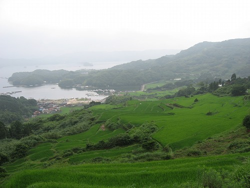大浦棚田1