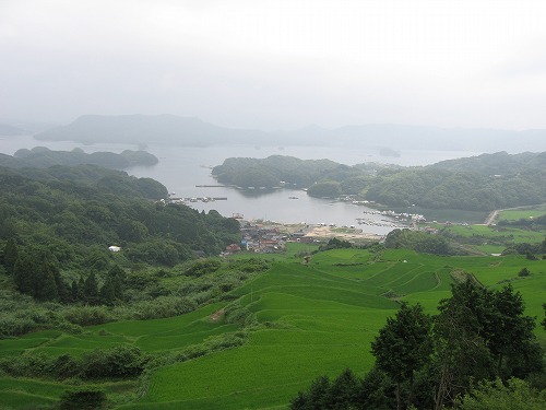 大浦棚田12