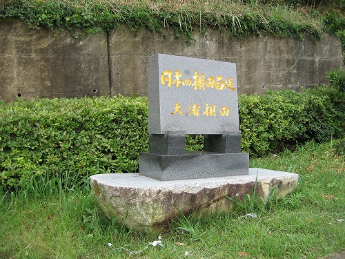 大浦棚田13