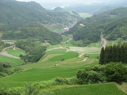 蕨野棚田3