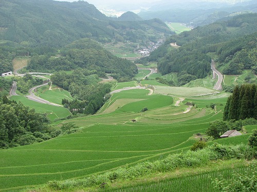 蕨野棚田5
