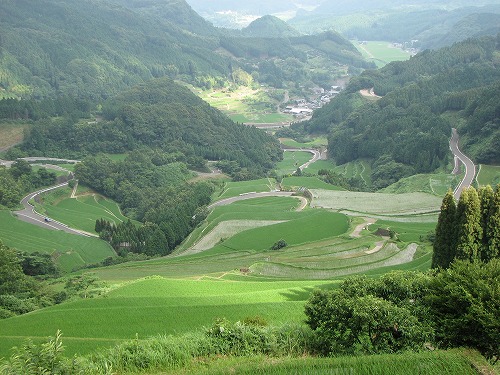 蕨野棚田13