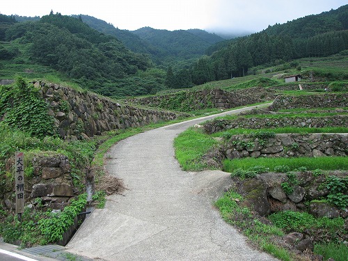 蕨野棚田20