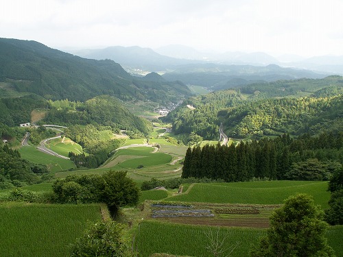 蕨野棚田37