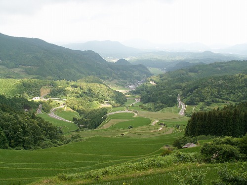 蕨野棚田34