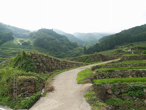 蕨野棚田27
