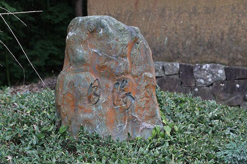 茶苑海月15