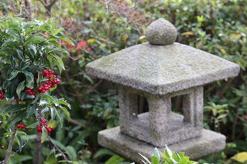 茶苑海月25