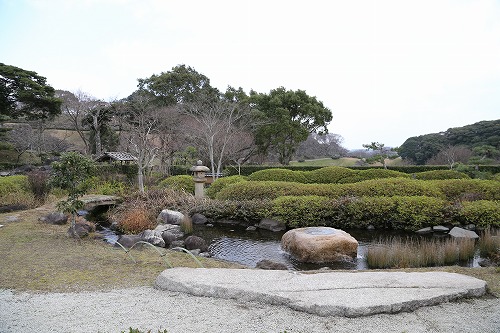 茶苑海月33