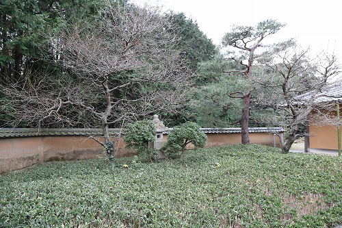 茶苑海月32