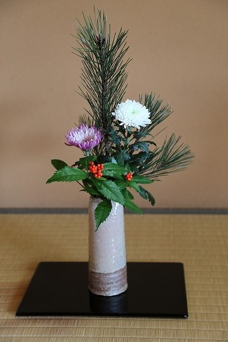 茶苑海月2