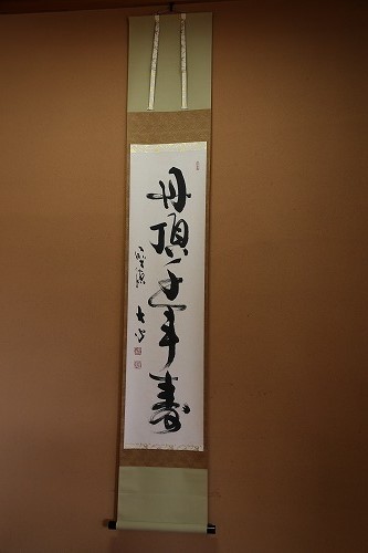 茶苑海月11
