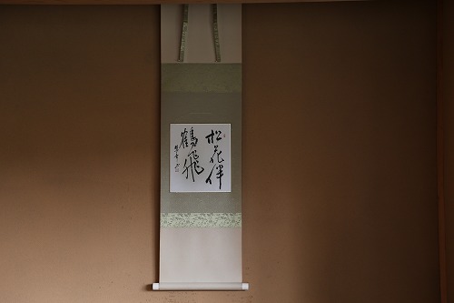 茶苑海月16