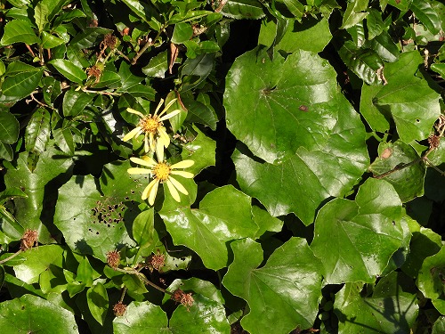 環境芸術の森21