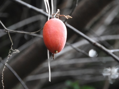 環境芸術の森33