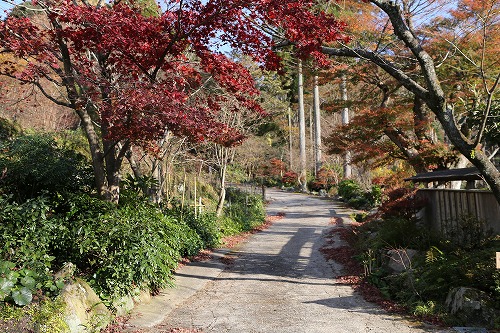 環境芸術の森1