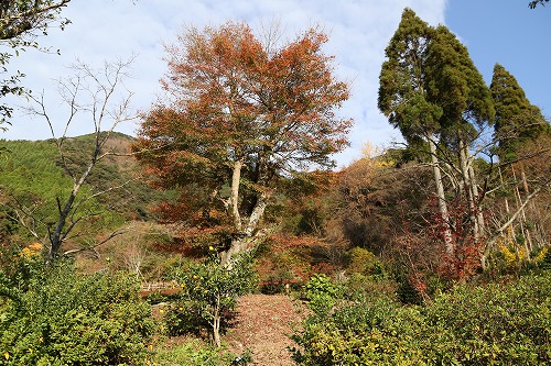 環境芸術の森3