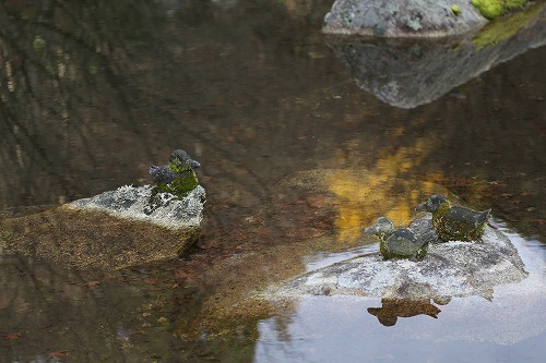 環境芸術の森9