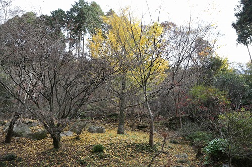 環境芸術の森14