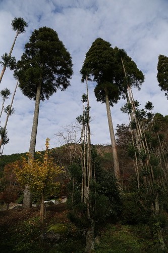 環境芸術の森15
